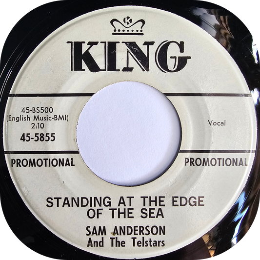 Sam Anderson - Standing At The Edge Of The Sea - King DEMO