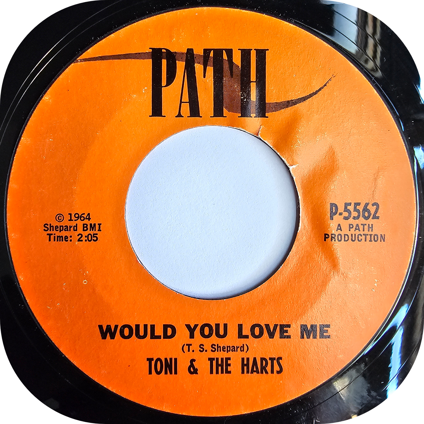 Toni & The Hearts - Come Back Baby - Path
