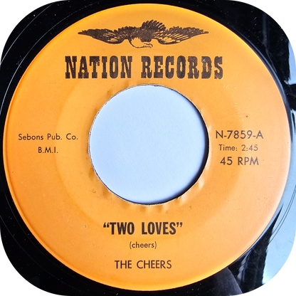Cheers, The - Never Again - Nation