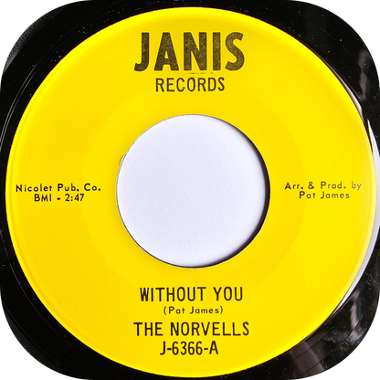 Norvells, The - Why Do You Want To Make Me Sad - Janis
