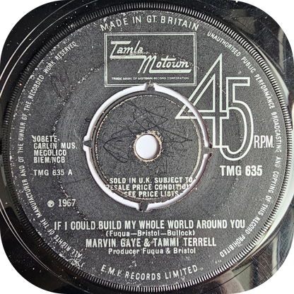 Marvin Gaye & Tammi Terrell - If I Could Build My Whole World Around You - Tamla Motown