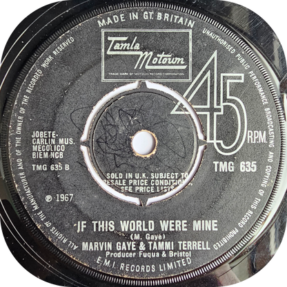 Marvin Gaye & Tammi Terrell - If I Could Build My Whole World Around You - Tamla Motown
