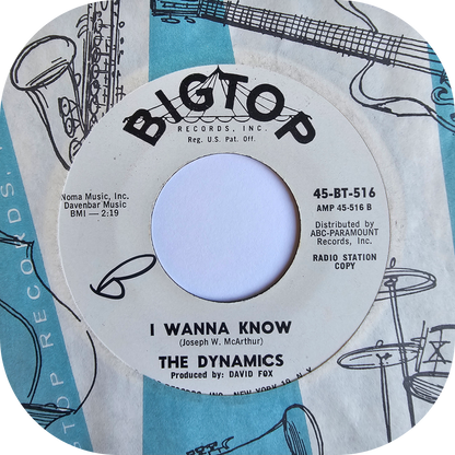 Dynamics, The - I Wanna Know - Bigtop DEMO