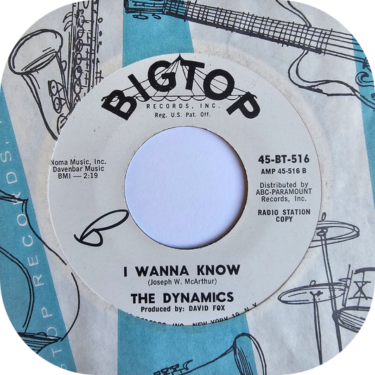 Dynamics, The - I Wanna Know - Bigtop DEMO
