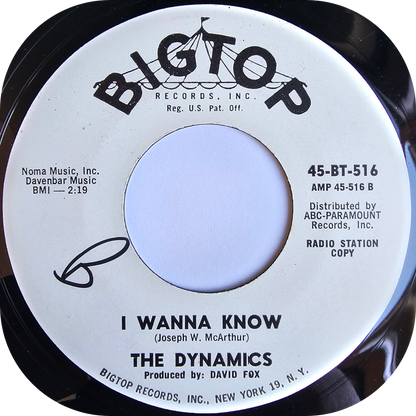 Dynamics, The - I Wanna Know - Bigtop DEMO