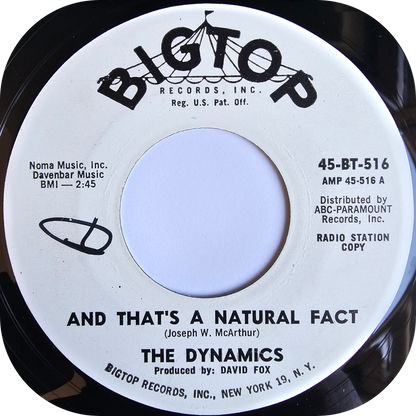 Dynamics, The - I Wanna Know - Bigtop DEMO