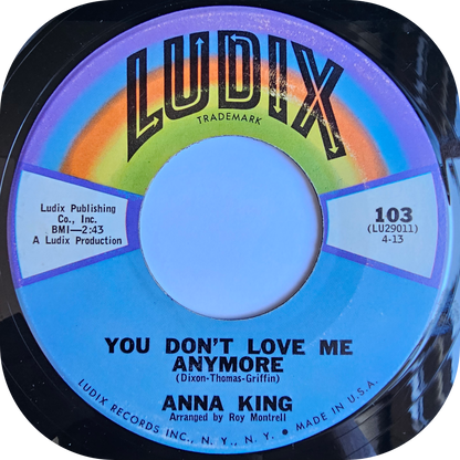 Anna King - The Big Change - Ludix