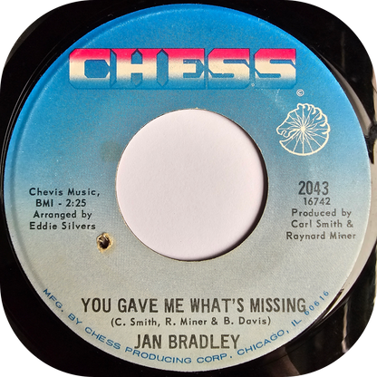 Jan Bradley - Nights In New York City - Chess