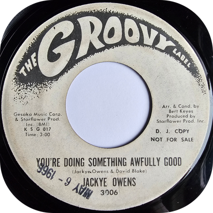 Jackye Owens - You're Doing Something Awfully Good - Groovy DEMO