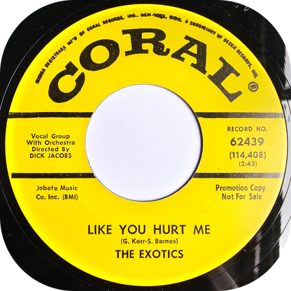 Exotics, The - Like You Hurt Me - Coral DEMO