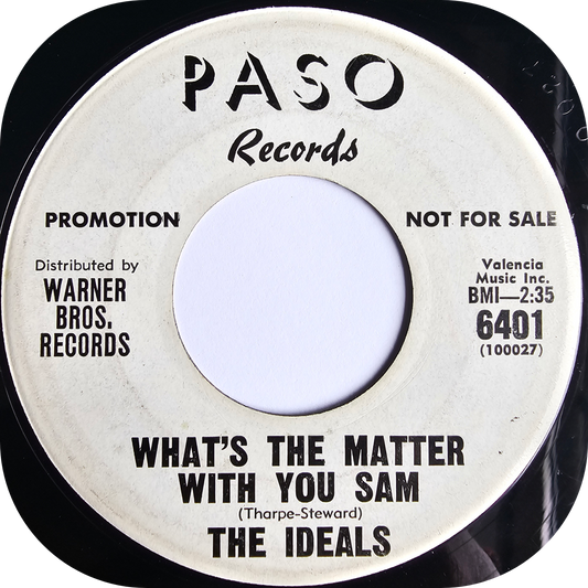 Ideals, The - What's The Matter With You Sam - Paso DEMO
