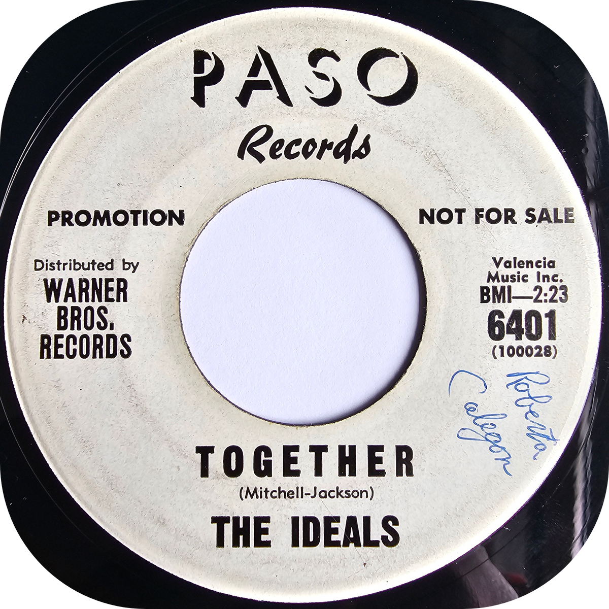 Ideals, The - What's The Matter With You Sam - Paso DEMO