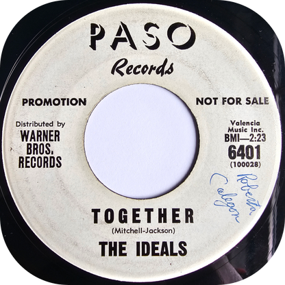 Ideals, The - What's The Matter With You Sam - Paso DEMO